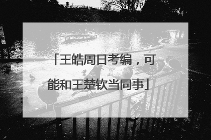 王皓周日考编，可能和王楚钦当同事