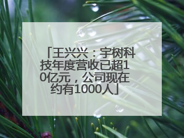 王兴兴：宇树科技年度营收已超10亿元，公司现在约有1000人