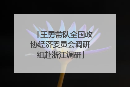 王勇带队全国政协经济委员会调研组赴浙江调研