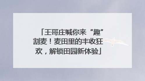 王哥庄喊你来“趣”割麦！麦田里的丰收狂欢，解锁田园新体验