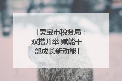 灵宝市税务局：双措并举 赋能干部成长新动能