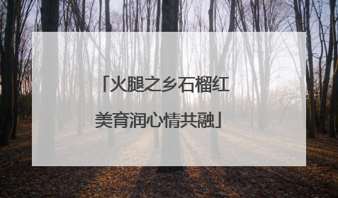 火腿之乡石榴红 美育润心情共融