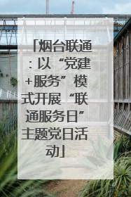 烟台联通：以“党建+服务”模式开展“联通服务日”主题党日活动