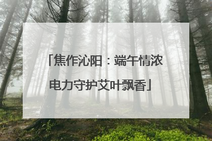 焦作沁阳：端午情浓 电力守护艾叶飘香