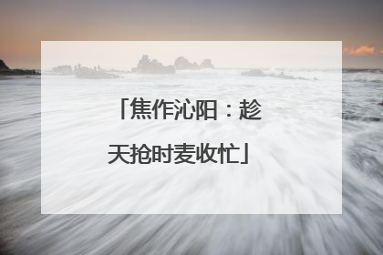 焦作沁阳：趁天抢时麦收忙