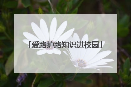 爱路护路知识进校园