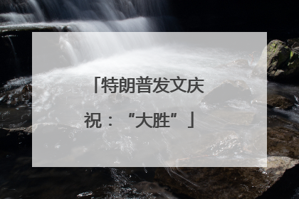 特朗普发文庆祝：“大胜”