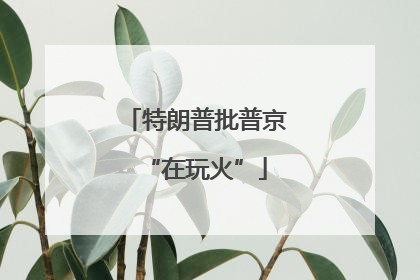 特朗普批普京“在玩火”
