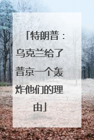 特朗普：乌克兰给了普京一个轰炸他们的理由