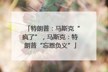 特朗普：马斯克“疯了”，马斯克：特朗普“忘恩负义”