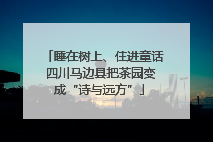 睡在树上、住进童话 四川马边县把茶园变成“诗与远方”