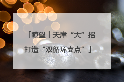 瞭望丨天津“大”招打造“双循环支点”