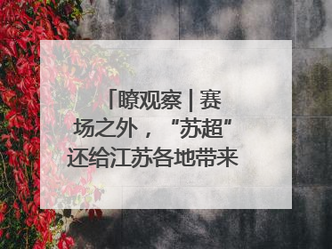 瞭观察 | 赛场之外，“苏超”还给江苏各地带来了什么？