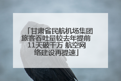 甘肃省民航机场集团旅客吞吐量较去年提前11天破千万 航空网络建设再提速