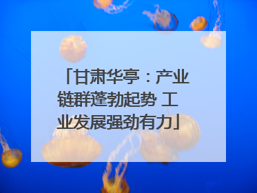 甘肃华亭：产业链群蓬勃起势 工业发展强劲有力