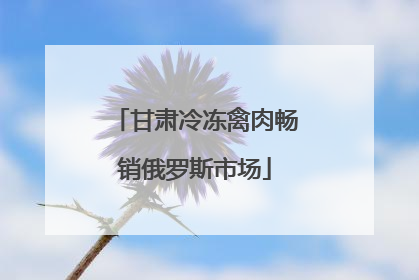 甘肃冷冻禽肉畅销俄罗斯市场