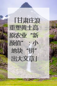 甘肃庄浪重塑黄土高原农业“新颜值”：小地块“拼”出大文章