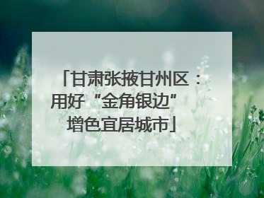 甘肃张掖甘州区：用好“金角银边” 增色宜居城市