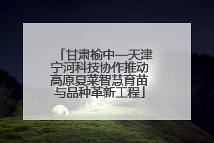 甘肃榆中—天津宁河科技协作推动高原夏菜智慧育苗与品种革新工程