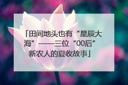 田间地头也有“星辰大海”——三位“00后”新农人的夏收故事