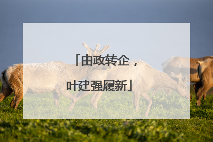 由政转企，叶建强履新