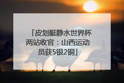 皮划艇静水世界杯两站收官：山西运动员获5银2铜