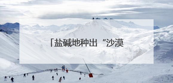 盐碱地种出“沙漠人参” 潍坊滨海解锁生态致富密码