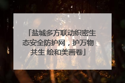 盐城多方联动织密生态安全防护网，护万物共生 绘和美画卷