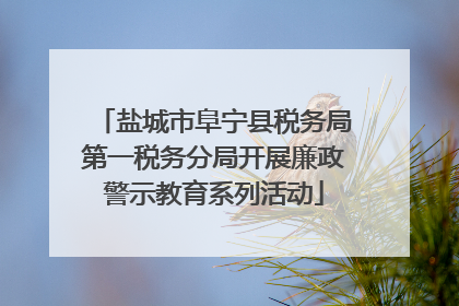 盐城市阜宁县税务局第一税务分局开展廉政警示教育系列活动