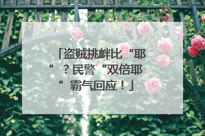 盗贼挑衅比“耶”？民警“双倍耶”霸气回应！