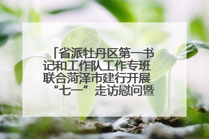 省派牡丹区第一书记和工作队工作专班联合菏泽市建行开展“七一”走访慰问暨红色教育活动