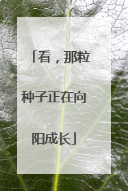 看，那粒种子正在向阳成长
