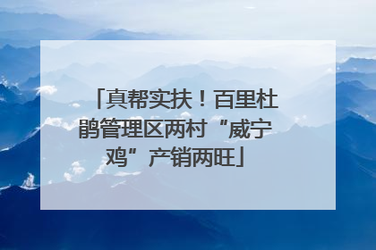 真帮实扶！百里杜鹃管理区两村“威宁鸡”产销两旺