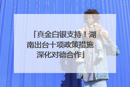 真金白银支持！湖南出台十项政策措施深化对德合作
