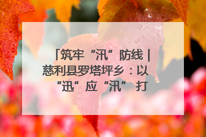 筑牢“汛”防线｜慈利县罗塔坪乡：以“迅”应“汛” 打赢暴雨防御战