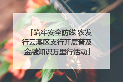 筑牢安全防线 农发行云溪区支行开展普及金融知识万里行活动