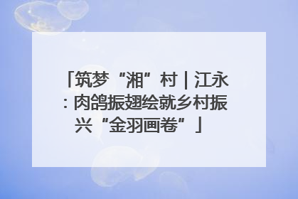 筑梦“湘”村｜江永：肉鸽振翅绘就乡村振兴“金羽画卷”