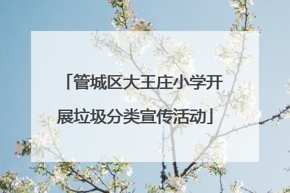 管城区大王庄小学开展垃圾分类宣传活动