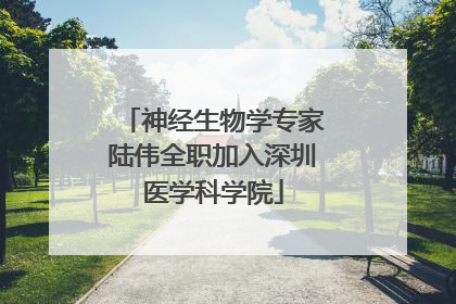 神经生物学专家陆伟全职加入深圳医学科学院