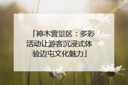 神木营景区：多彩活动让游客沉浸式体验边屯文化魅力