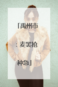 禹州市：麦罢抢种急