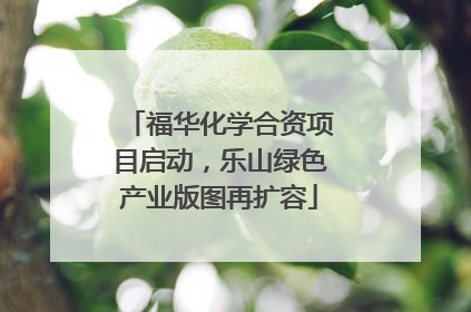 福华化学合资项目启动，乐山绿色产业版图再扩容