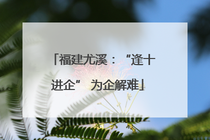 福建尤溪：“逢十进企” 为企解难