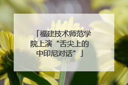 福建技术师范学院上演“舌尖上的中印尼对话”
