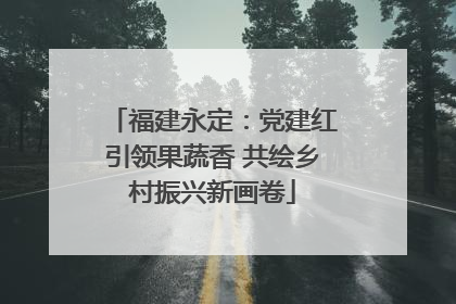 福建永定：党建红引领果蔬香 共绘乡村振兴新画卷