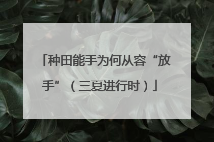 种田能手为何从容“放手”（三夏进行时）