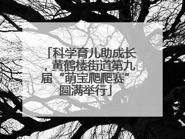 科学育儿助成长，黄鹤楼街道第九届“萌宝爬爬赛”圆满举行