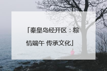 秦皇岛经开区：粽情端午 传承文化