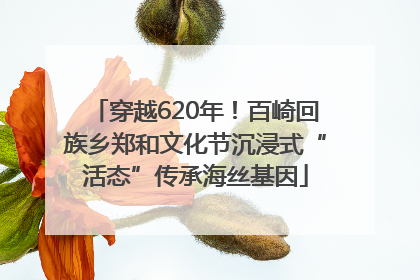 穿越620年！百崎回族乡郑和文化节沉浸式“活态”传承海丝基因