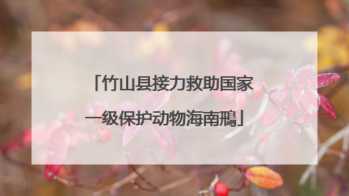 竹山县接力救助国家一级保护动物海南鳽